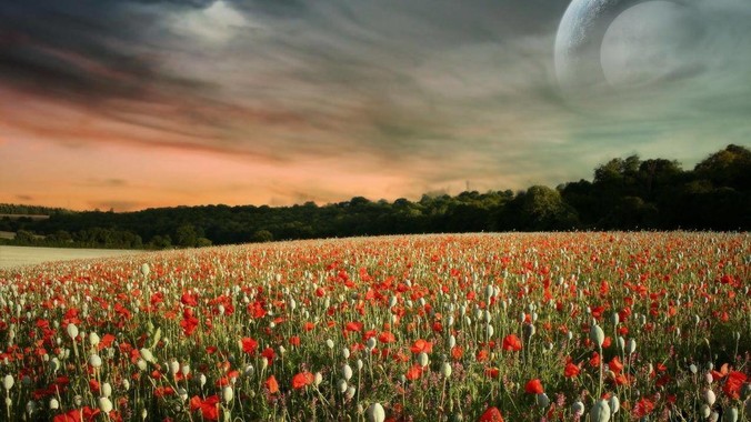 如何成为氛围感美女？